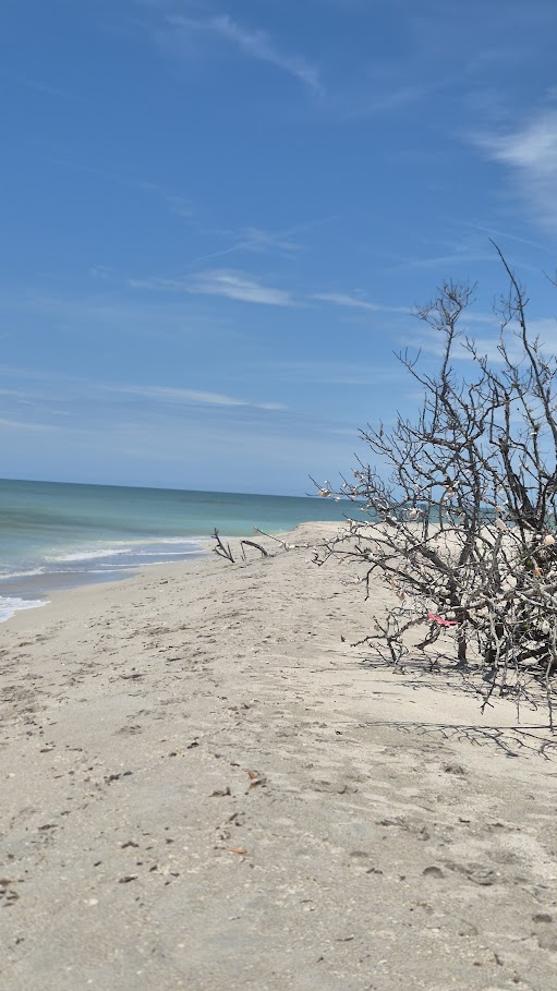 Divoká floridská pláž bez turistů